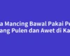 Cara Mancing Bawal Pakai Pelet yang Pulen dan Awet di Kail