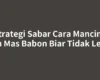 Strategi Sabar Cara Mancing Ikan Mas Babon Biar Tidak Lepas