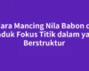 Cara Mancing Nila Babon di Waduk Fokus Titik dalam yang Berstruktur