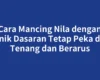 Cara Mancing Nila dengan Teknik Dasaran Tetap Peka di Air Tenang dan Berarus