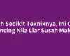 Ubah Sedikit Tekniknya, Ini Cara Mancing Nila Liar Susah Makan