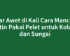 Agar Awet di Kail Cara Mancing Patin Pakai Pelet untuk Kolam dan Sungai