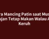 Cara Mancing Patin saat Musim Hujan Tetap Makan Walau Air Keruh