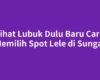 Lihat Lubuk Dulu Baru Cara Memilih Spot Lele di Sungai