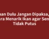 Tahan Dulu Jangan Dipaksa, Ini Cara Menarik Ikan agar Senar Tidak Putus