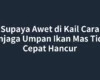 Supaya Awet di Kail Cara Menjaga Umpan Ikan Mas Tidak Cepat Hancur