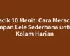 Racik 10 Menit: Cara Meracik Umpan Lele Sederhana untuk Kolam Harian