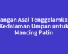 Jangan Asal Tenggelamkan Kedalaman Umpan untuk Mancing Patin