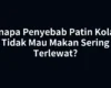 Kenapa Penyebab Patin Kolam Tidak Mau Makan Sering Terlewat?