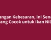 Jangan Kebesaran, Ini Senar yang Cocok untuk Ikan Nila