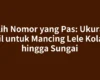 Pilih Nomor yang Pas: Ukuran Kail untuk Mancing Lele Kolam hingga Sungai
