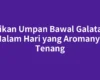 Racikan Umpan Bawal Galatama Malam Hari yang Aromanya Tenang