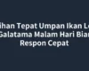 Pilihan Tepat Umpan Ikan Lele Galatama Malam Hari Biar Respon Cepat