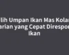 Pilih Umpan Ikan Mas Kolam Harian yang Cepat Direspons Ikan