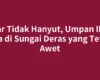 Agar Tidak Hanyut, Umpan Ikan Nila di Sungai Deras yang Tetap Awet