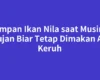 Umpan Ikan Nila saat Musim Hujan Biar Tetap Dimakan Air Keruh