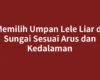 Memilih Umpan Lele Liar di Sungai Sesuai Arus dan Kedalaman