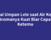 Pakai Umpan Lele saat Air Keruh Aromanya Kuat Biar Cepat Ketemu