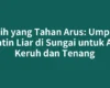 Pilih yang Tahan Arus: Umpan Patin Liar di Sungai untuk Air Keruh dan Tenang