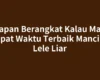 Kapan Berangkat Kalau Mau Dapat Waktu Terbaik Mancing Lele Liar