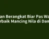 Kapan Berangkat Biar Pas Waktu Terbaik Mancing Nila di Danau